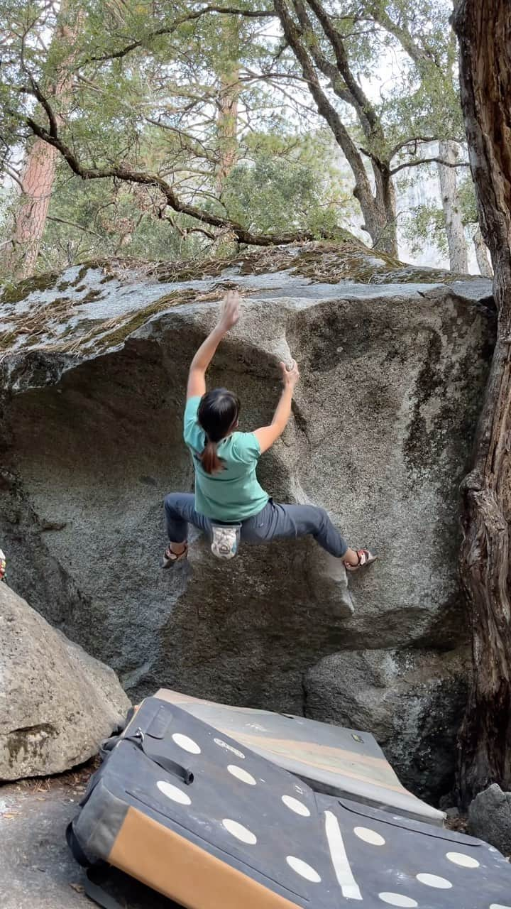 尾上彩のインスタグラム：「秋に向けてトレーニング再開せねば…🔥 ・ ・ ・ @patagoniajp @patagonia_climb #climbing #climblikeagirl #bouldering #クライミング #ボルダリング #yosemitebouldering #yosemiteclimbing #yosemitenationalpark」