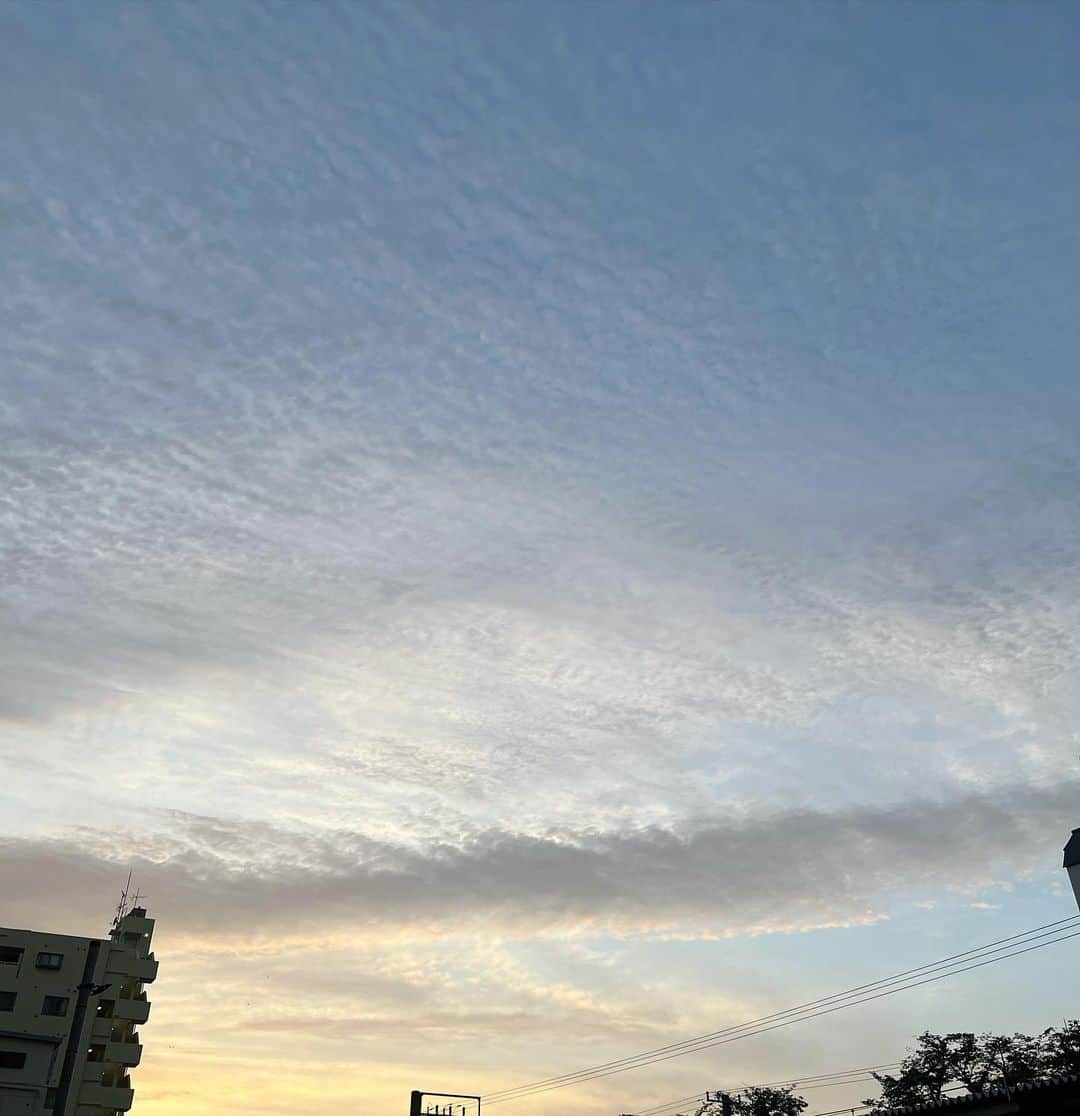 福井姫奈さんのインスタグラム写真 - (福井姫奈Instagram)「自然に癒された日🍃 空一面、うろこ雲でびっくりした。。。  今日も1日お疲れ様です☺︎」6月22日 20時35分 - hina__.1223
