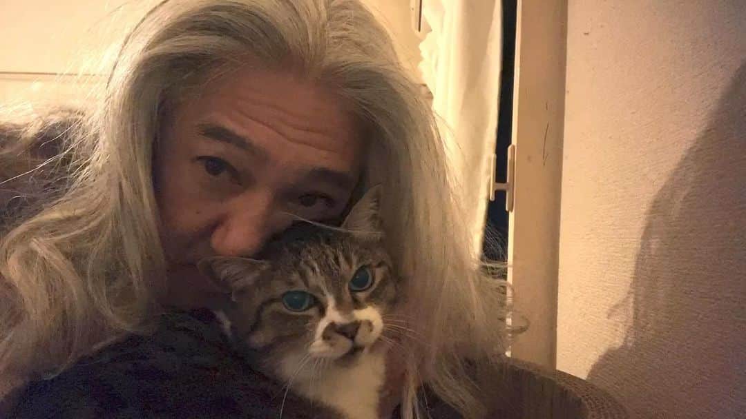イマイアキノブのインスタグラム：「ᛥ 明後日の演奏形態はカルテット   イマイアキノブ v.g 山本久土 g.v 宮田岳 b.v サトウミノル d  の四人で挑み〼  乞御期待  @urasuji.base」