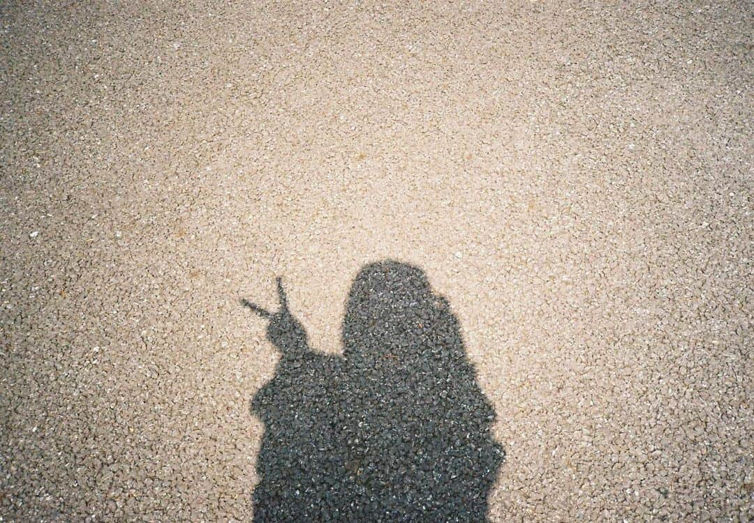 藤田奈那のインスタグラム：「#film #filmcamera #filmphotography #🎞 #📷」