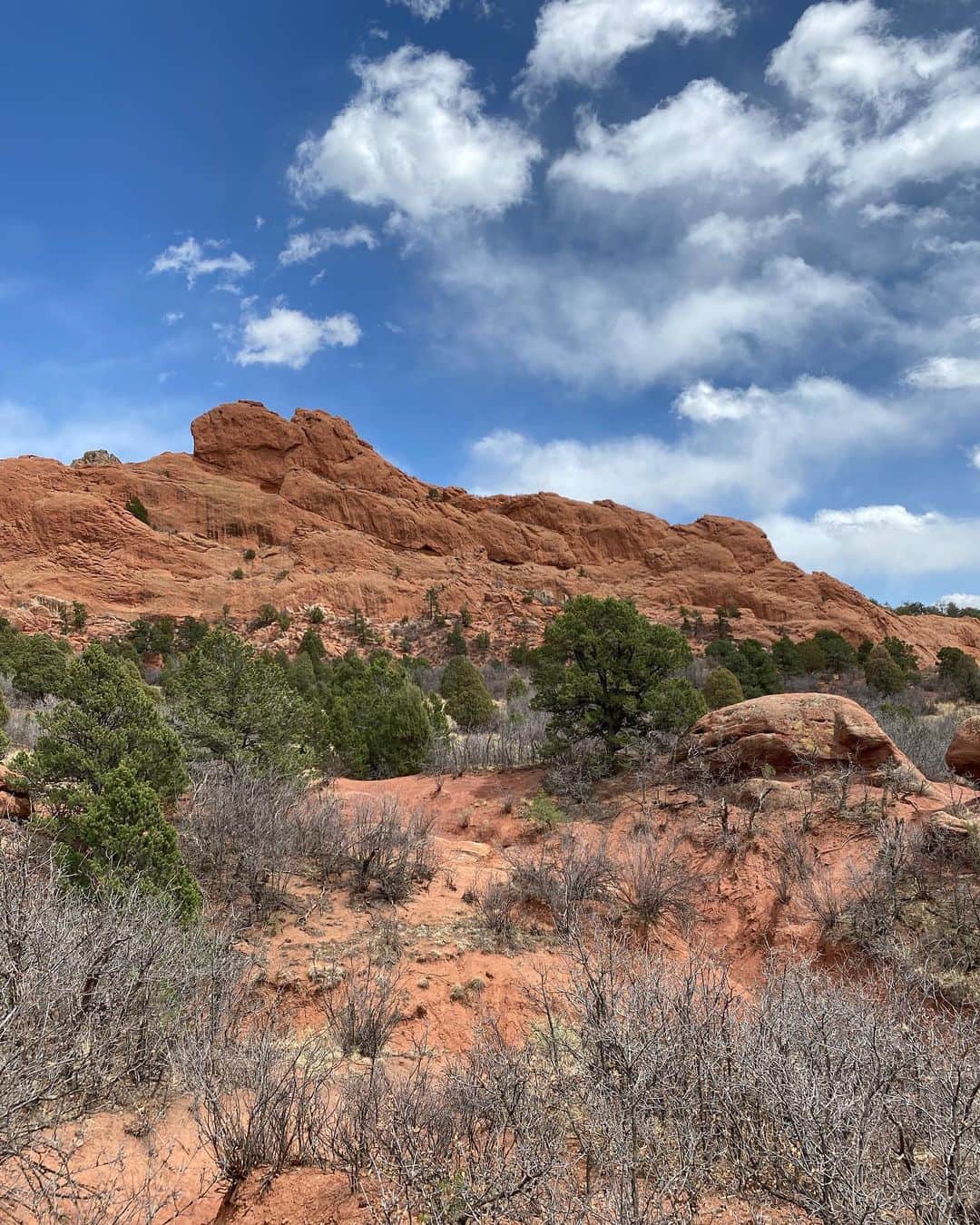 ベイカー恵利沙さんのインスタグラム写真 - (ベイカー恵利沙Instagram)「Colorado in May 🏔 5月のコロラドtrip 乾いた空気も土の色も、岩の形もトゲトゲの植物も 何もかもが別の惑星のようだった🪐 楽しみにしていたGarden of the Gods感動したなあ 5枚目の写真は、キスしてるラクダに見えるということで、 “Kissing Camels”と呼ばれている岩🐪💕 #gardenofthegods」6月22日 21時07分 - bakerelisa