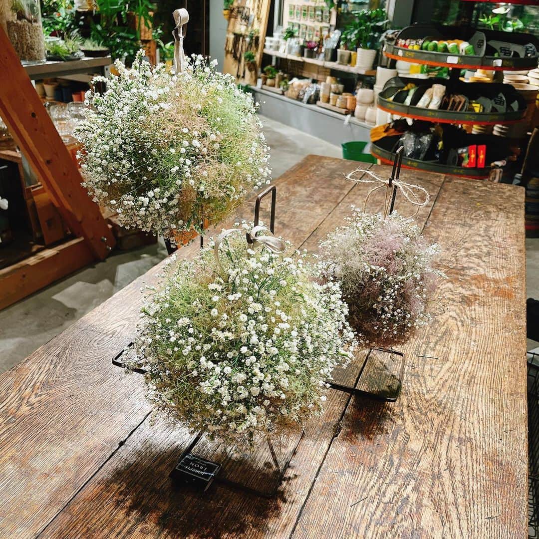 TODAY'S SPECIALのインスタグラム：「〈WORKSHOP-Hibiya〉 昨日、本日と日比谷店ではフラワーコーディネーターの山本文さんを講師にお迎えしスモークツリーでつくるハンギングボールのワークショップを開催いたしました。 今回は梅雨の時期にシーズンを迎えるスモークツリーを中心に霞草やスターチスなどを使って作っていきます。 小宇宙を感じられるハンギングボールがお部屋を彩ってくれそうですね。 #todaysspecial#トゥデイズスペシャル#hibiya#東京ミッドタウン#ts_report#フラワーアレンジメント#ハンギングボール #スモークツリー」