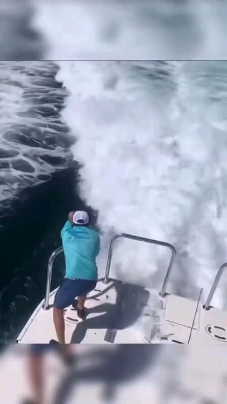 Padgramのインスタグラム：「That’s terrifying and beautiful!  Credits 🎥@smilensam  #pgdaily #pgstar#pgcounty #sea #planetgo#planet #planetearth #amazing #awesome #nature #killerwhale #ocean #lifeisbeautiful #oceanlife」