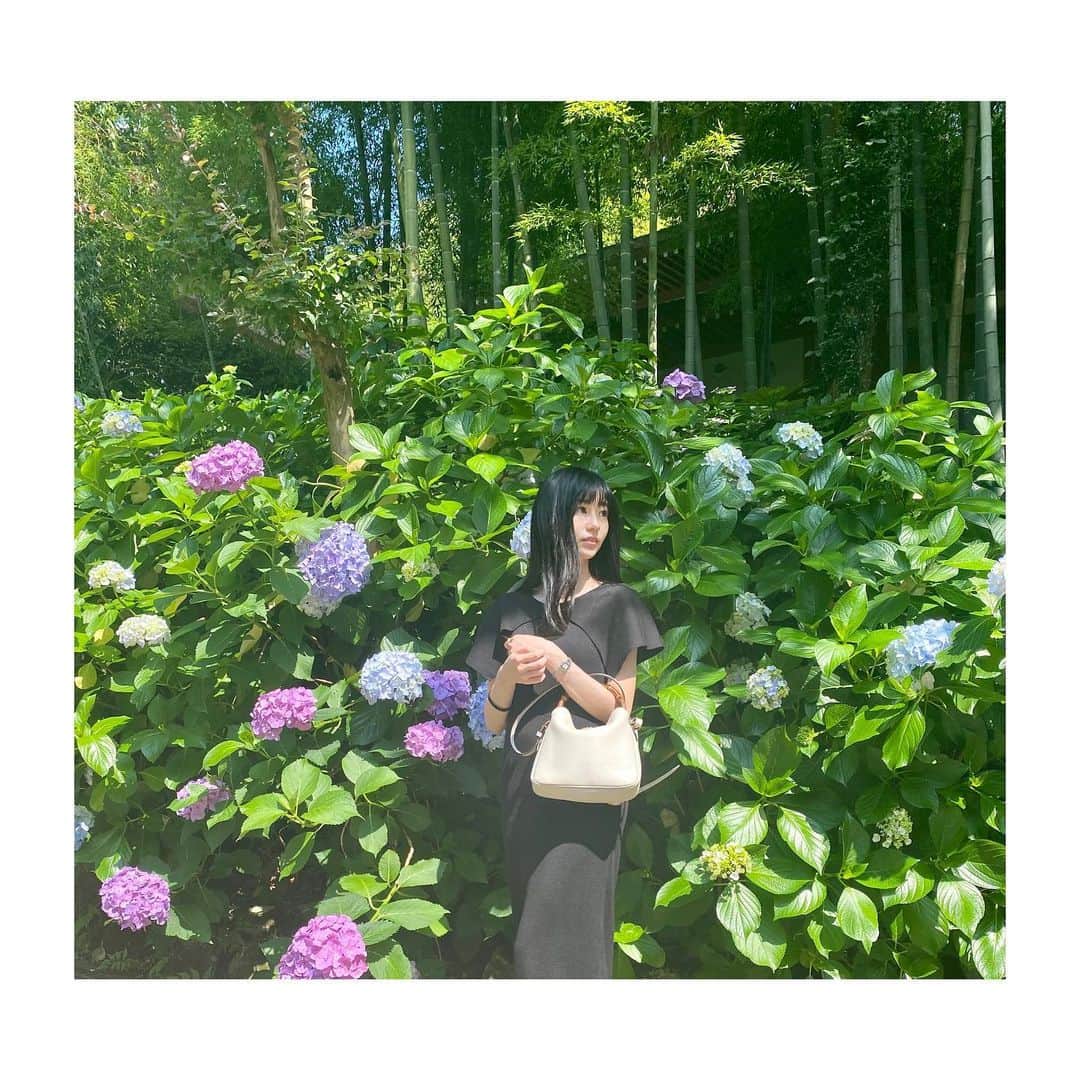 大島璃音のインスタグラム：「💠  初の北鎌倉！ 鎌倉駅周辺とはまた違った雰囲気にとっても癒されました♡  自分より背丈が高い紫陽花って珍しいかも。 写真を見返してふと気づく💭  #北鎌倉 #円覚寺 #紫陽花」