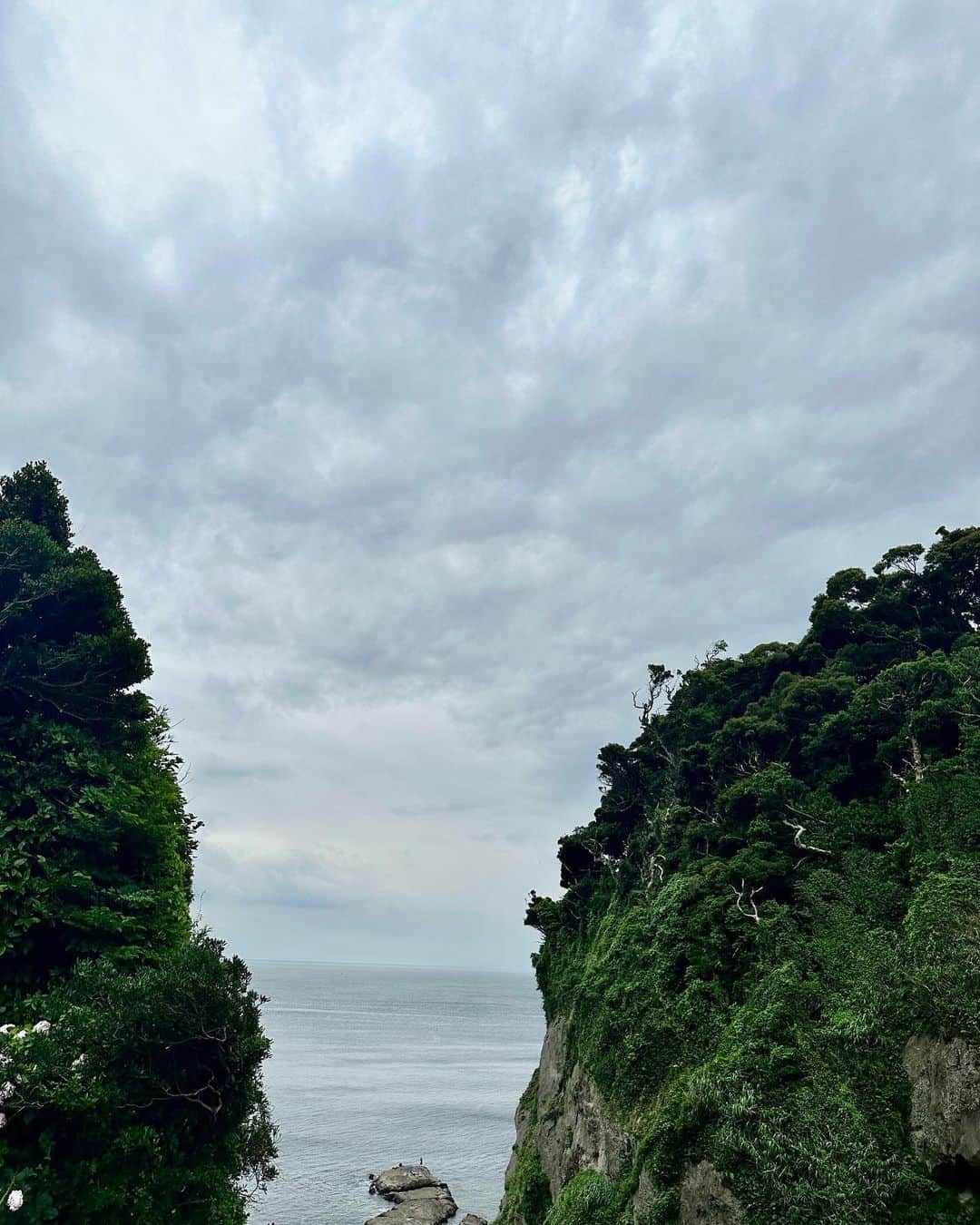 近藤頌利のインスタグラム：「弾丸一人旅。  #江ノ島 #江島神社  #近藤頌利」