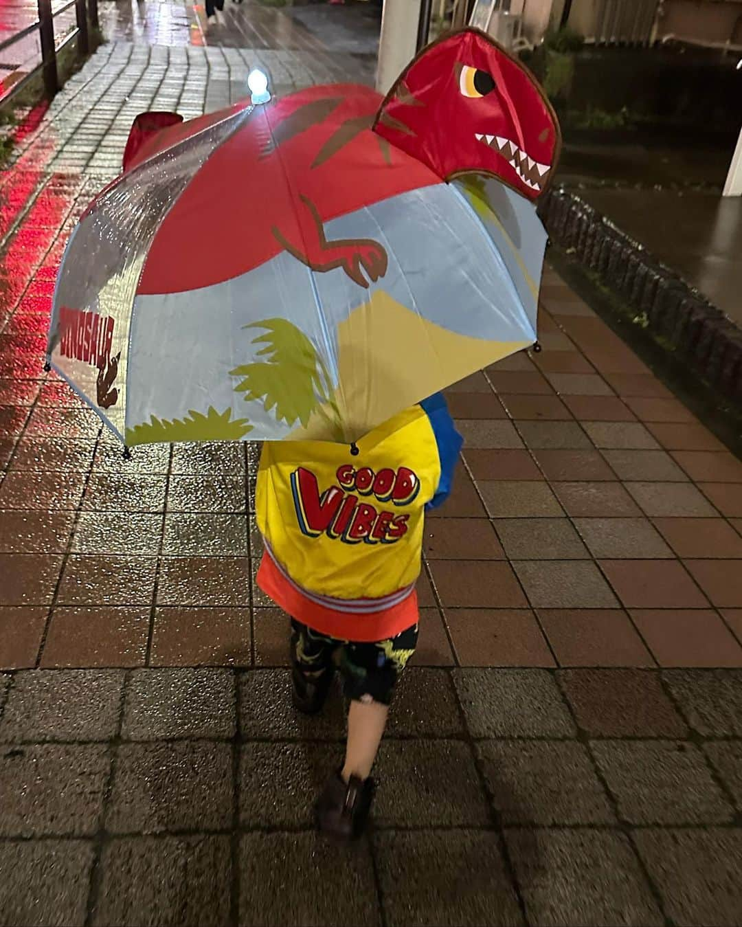 DJ JUICYさんのインスタグラム写真 - (DJ JUICYInstagram)「ピカピカ光って音が鳴る傘☂️🦖❤️  やっと使えて良かったね☺️✨  カッパと長靴は、嫌がって、一度着用しただけでサイズアウト...💦  その時、全部お揃いだった傘は、一度使って無くしました...😫😫😫😫  この傘は、無くさないようにしよう(自分)✊😅  新しくおろしたjordan履いて、水溜まりにビシャーー😅まぁそんなもんだよね✔️💖  #傘#恐竜#雨グッズ#ピカピカ #goodvibes#kidsfashion」6月23日 0時26分 - dj_juicy0912