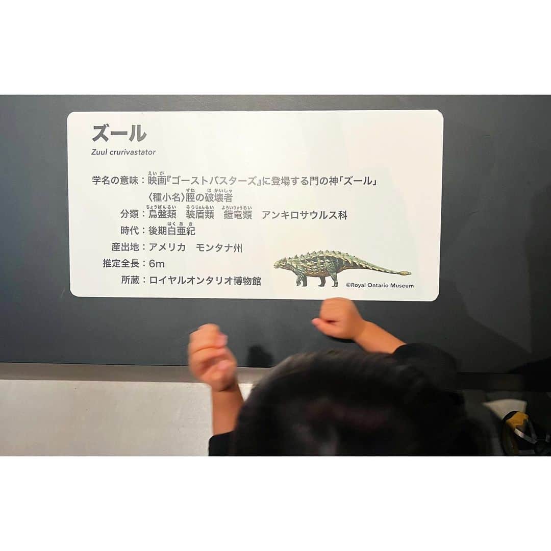 権藤朱実さんのインスタグラム写真 - (権藤朱実Instagram)「🦖 『恐竜博2023』  ギリギリセーフで！！ 息子、初めての博物館デビュー✨ ・・・もちろん最近どハマりしている恐竜の！！  平日だったけど、激混みで観るの大変だった😓 もっと小さい子も見やすい展示だったら良かったなと🤔 でも、当の本人は👦🏻 終始あちこちに見える恐竜の展示をキラキラした目で観てたよ✨  音声ガイド付きで回ったけれど・・・ 人多すぎて、それどころじゃなかったーーーーー😭笑  #model #satorujapan #akemigondo #モデル #サトルジャパン #権藤朱実 →@satorujapan_official →@akemigondo ☑︎プロフィールのリンクにて、写真公開中☆ ☑︎リールにて、息子のあれこれ公開中☆」6月23日 1時06分 - akemigondo
