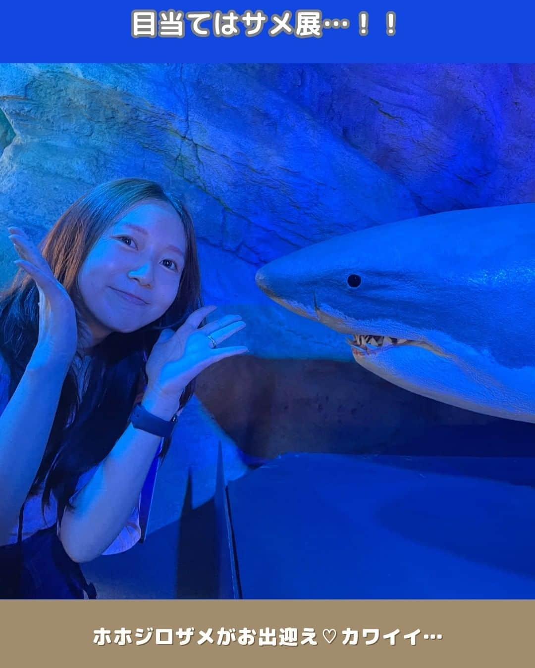 泉侑里さんのインスタグラム写真 - (泉侑里Instagram)「🦈 ━━━━━━━━━━━━━━━━━━ 画面右下の【保存ボタン】を押しておくと 後ですぐに見返せます！🙌🏻 ━━━━━━━━━━━━━━━━━━ 【湘南・江の島　新江ノ島水族館 】  2004年にオープンして以来 “えのすい”の愛称で多くの人に親しまれています  えのさいは、相模湾や太平洋、深海などのさまざまな 海の生き物たちを展示している水族館。 生き物たちの暮らす環境について楽しみながら学べる 「エデュテインメント型水族館」として 子どもから大人まで楽しめますよ🫶  今回はサメ目的で数年ぶりのえのすいでしたが、 海の生き物大好き水族館大好きっ子のゆりっぺによる、 オススメポイントも併せて書いていきます！  ——⭐︎ ——⭐︎  1. 相模湾大水槽 江の島水族館の中で最も大きな水槽！！  高さ9m、水深6.5m、面積144m2、容量1000tで、厚さ41cmのアクリルガラスを使用しており、相模湾の岩礁や沖のようすを再現しています。 約100種2万匹の魚が泳いでおり、中でも約8000匹のマイワシの大群は銀色に輝きながらうねり泳ぐ姿は圧巻！ 相模湾大水槽は細部にわたって細かな細工がしているので、それぞれの魚たちが自分の居心地がいいところに暮らしているそう。 そんなようすを間近で観察することができるので、岩場などもじっくり見ると楽しいですよ♪  2.クラゲファンタジーホール  日本最大級のクラゲ展示エリア。 約100種類、約5000匹ものクラゲが、幻想的な光と音楽とともに泳ぎます。クラゲの不思議な形や色、動きに魅了されること間違いなしです…！  旧江の島水族館時代の1974年から本格的にクラゲの展示を開始し、30年以上にわたり日本でのクラゲの展示飼育や繁殖、研究を行ってきたえのすい。 当時はクラゲを一年中見ることができたのは世界中でも非常に珍しかったとか…！ また昭和天皇が長年にわたりご研究をされたヒドロ虫類のクラゲと、ご著書なども常設で紹介しています。  3.深海Ⅰ・深海Ⅱ  日本初の深海探査船「しんかい2000」や深海を再現した水槽などが展示されており、実物大の操縦室や潜水艇内部を見学できます。 またJAMSTEC（国立研究開発法人海洋研究開発機構）とえのすいが協力し、日本で初めてとなる深海生物の長期飼育法に関する共同研究を実施。  推しはやっぱり「エノスイグソクムシ」！ えのすいで飼育をしていたダイオウグゾクムシの中に新種が混じっていたことから「エノスイグソクムシ」という水族館の名前が付けられたんですって…！スゴイ！ ただエノスイグソクムシとダイオウグソクムシの違いはとても軽微です…ｗ  4.シラスサイエンス 湘南・江の島の特産品といえば、しらす！！ えのすいでは世界初の挑戦としての「シラス展示」をしています。 カタクチイワシの親に産卵してもらい、回収した卵から育てたシラスを展示することに成功したそうです。  シラスはとても身近な生き物ですが、実は生態については分からないことが多いのです、また新たな発見がえのすいから見つかるかも…！？  ——⭐︎ ——⭐︎ ——⭐︎ ——⭐︎ ——⭐︎ ——⭐︎  江の島水族館は、海の生き物たちと触れ合える楽しいスポット。 海の魅力を存分に味わえる水族館ですので、ぜひ訪れてみてください♪  noteでも詳しく書きました✨✨ こちらのプロフィールから飛べます→@jobcaree ——⭐︎ ——⭐︎ ——⭐︎ ——⭐︎ ——⭐︎ ——⭐︎  最寄駅🚉  小田急江ノ島線「片瀬江ノ島駅」 徒歩約10分  料金 入場料は大人2500円 高校生1700円 小・中学生1200円 幼児（3歳以上）800円  営業時間🕰  9時00分～17時00分  ——⭐︎ ——⭐︎ ——⭐︎ ——⭐︎ ——⭐︎ ——⭐︎  ーー  #鎌倉カフェ #鎌倉スイーツ #江ノ島 #江ノ島グルメ #鎌倉ランチ ##神奈川スイーツ #神奈川観光 #ネオカフェ #韓国っぽカフェ #無機質カフェ #ニューオープン #新大久保デート #東京デート #デート #東京観光 #韓国カフェ #カフェイン #新江の島水族館」6月23日 1時20分 - imirixoxo