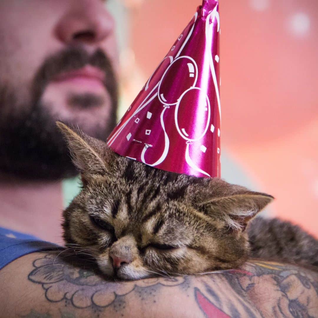 Lil BUBのインスタグラム：「Oops, in the spirit of BUB, I crashed before posting more BUBirthday photos last night so I'll post a bunch today instead. Here's a favorite from her 2nd birthday, June 21st 2013. #bubirthday #lilbub #scienceandmagic」