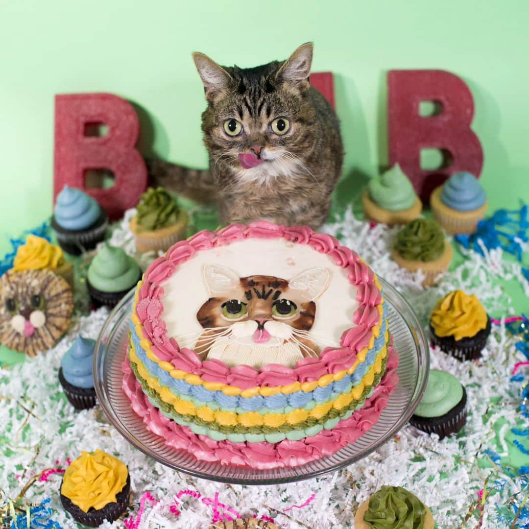 Lil BUBのインスタグラム：「Check out this BUBirthday Cake from BUB's 6th birthday!」