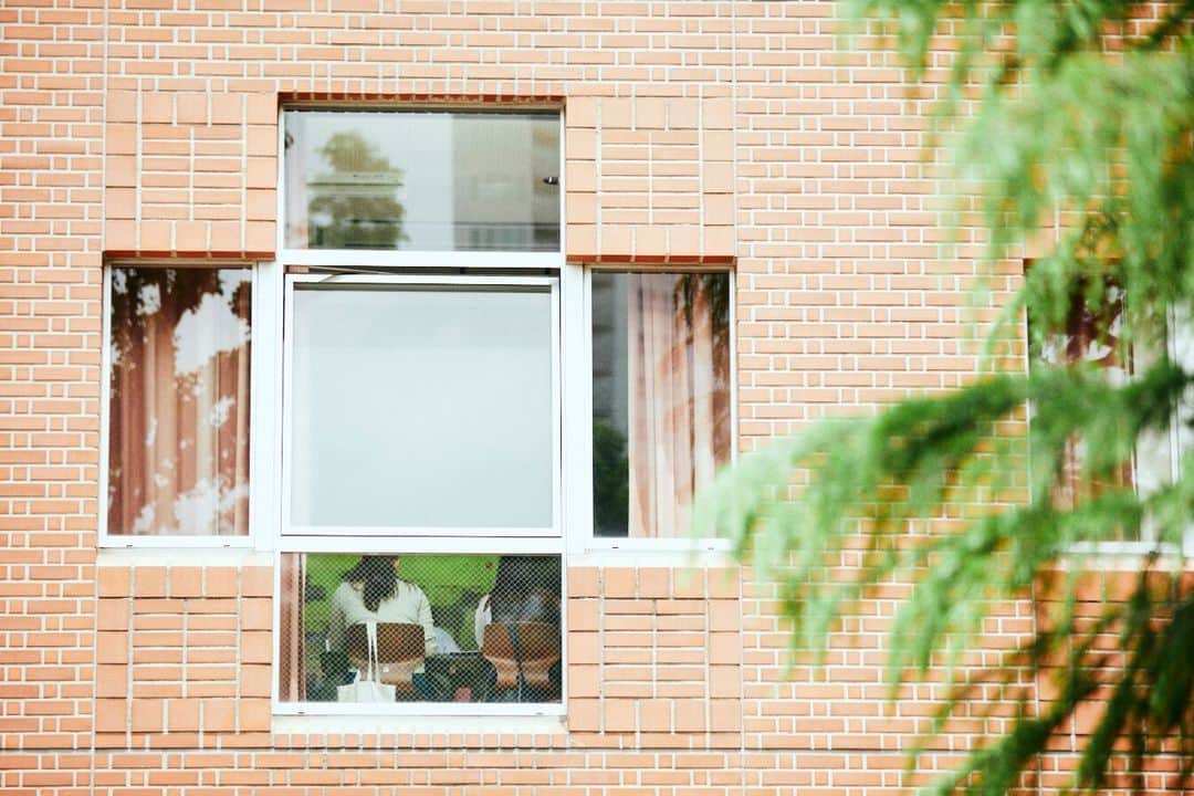 Meiji Gakuin/明治学院大学/明学さんのインスタグラム写真 - (Meiji Gakuin/明治学院大学/明学Instagram)「白金キャンパスのいろいろな窓  キャンパス内にはさまざまなデザインの建物があり、窓にも個性が出ます。 時間帯によって印象も変わるため、見ていて飽きません。 みなさんどの建物の窓かわかりますか？  1枚目：本館 2枚目：インブリー館 3枚目：2号館 4枚目：チャペル  #明治学院大学 #白金キャンパス #白金 #春学期 #春学期もがんばろう #明学 #明治学院 #明学人 #デザイン #design #授業 #明学生 #メイガク #明学ライフ #大学生活 #キャンパスライフ #mgu #建築 #窓 #meijigakuinuniversity #meijigakuin #meigaku #photography #photographer」6月23日 10時00分 - mguniv
