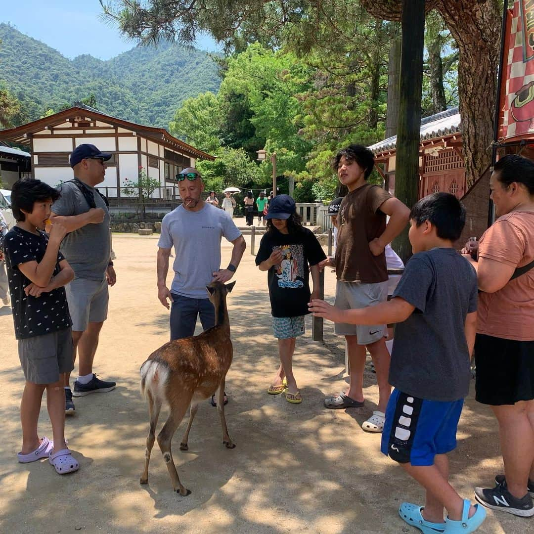 上田ユキエさんのインスタグラム写真 - (上田ユキエInstagram)「🇺🇸 Family Japan Trip 🇯🇵 前半戦。広島県〜鳥取県〜島根県〜山口県。広島原爆ドーム、大山、出雲大社、足立美術館、宮島、錦帯橋。  #family #trip #japan」6月23日 6時06分 - yukie_ueda