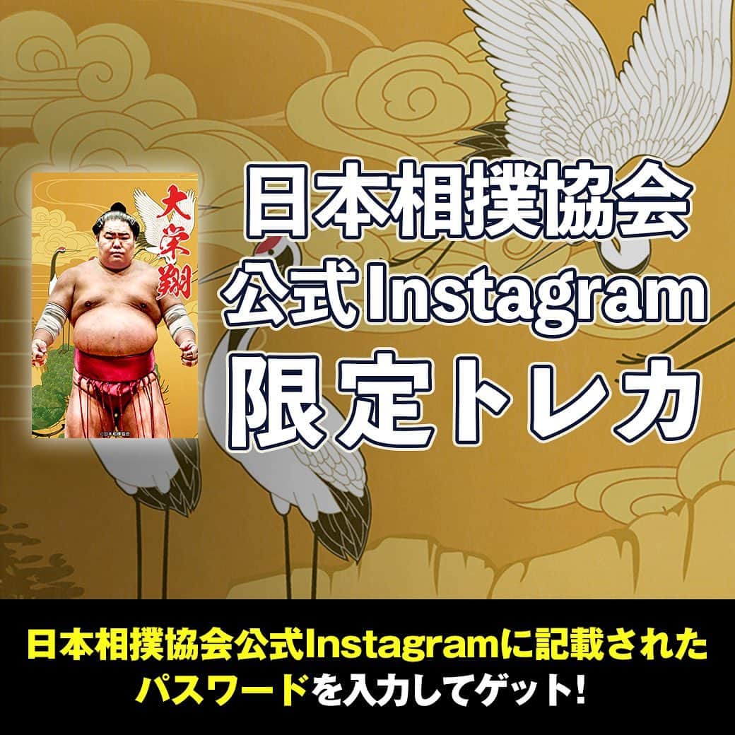 日本相撲協会さんのインスタグラム写真 - (日本相撲協会Instagram)「大相撲コレクション  公式SNS限定デザインのトレカを配布中！ 全3種、3日連続でパスワードを発表。  全種類コンプリートしませんか？ 最終日のトレカは大栄翔！ 2枚目の画像に記載されているパスワードを「大相撲コレクション」内で入力してGETしましょう！  @sumokyokai #sumo #相撲 #トレカ #大相撲コレクション #collection #お相撲さん #japan #japanculture #大栄翔」6月25日 12時00分 - sumokyokai