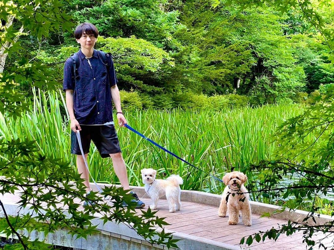 西村文男さんのインスタグラム写真 - (西村文男Instagram)「ふみおとにこるとろいど。」7月22日 11時15分 - fumionishimura