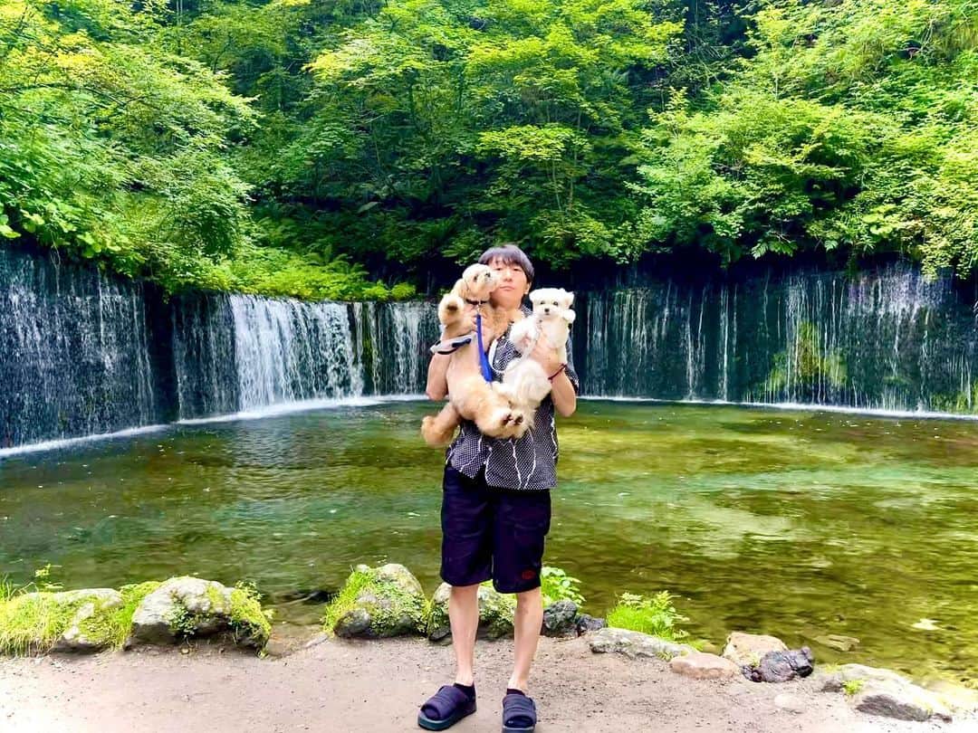 西村文男のインスタグラム：「ふみおとにこるとろいど。」