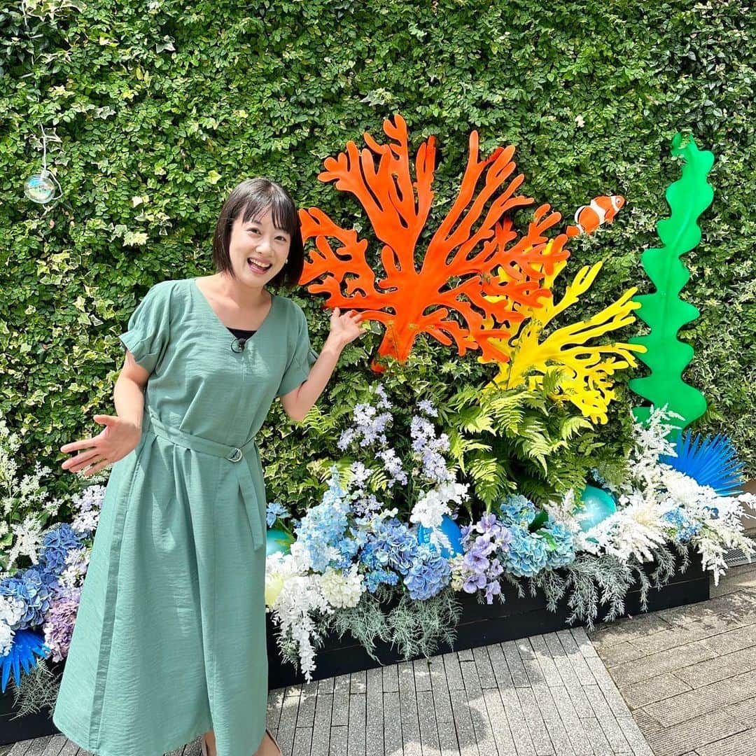 川島恵さんのインスタグラム写真 - (川島恵Instagram)「イオンモール宮崎お出かけ情報もありますよ〜♪夏ギフト特集です🌻 つづくさんのどようだよ^_^22(土)12時10分〜OA！ ・ #どようだよ #つづくさんのどようだよ  #イオンモール宮崎お出かけ情報 #夏ギフト特集 #贈り物 #ギフト」7月22日 11時29分 - mrt.kawashima