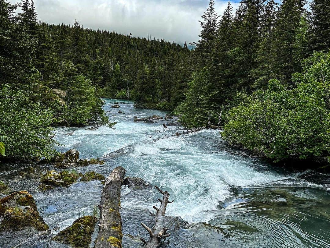 Kristina Bashamさんのインスタグラム写真 - (Kristina BashamInstagram)「Alaska was just beautiful 🤩」7月22日 4時36分 - kristinabasham