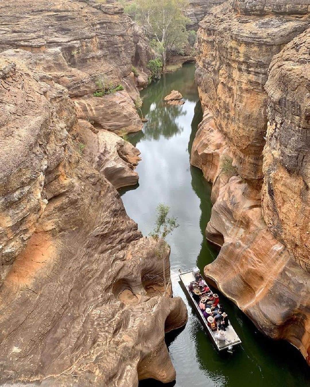 Australiaのインスタグラム：「Get ready to gush about Gulf Country! 🤩 Nestled on Ewamian Country, @cobboldgorge is seriously gorg-eous! Picture this: You, gently gliding through majestic ancient sandstone cliffs, feeling like you've stepped into a real-life painting 🚣‍♀️ before settling in for the night at #CobboldVillage. Sign us up already! 🙋(📸 @cairnsdiver) #seeaustralia #comeandsaygday #thisisqueensland #exploretnq #gulfsavannahoutback」