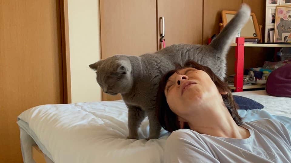 KAORUさんのインスタグラム写真 - (KAORUInstagram)「#諭吉 と私☺️  #ブリティッシュショートヘア  #猫のいる暮らし」7月22日 7時28分 - yukisaku_88