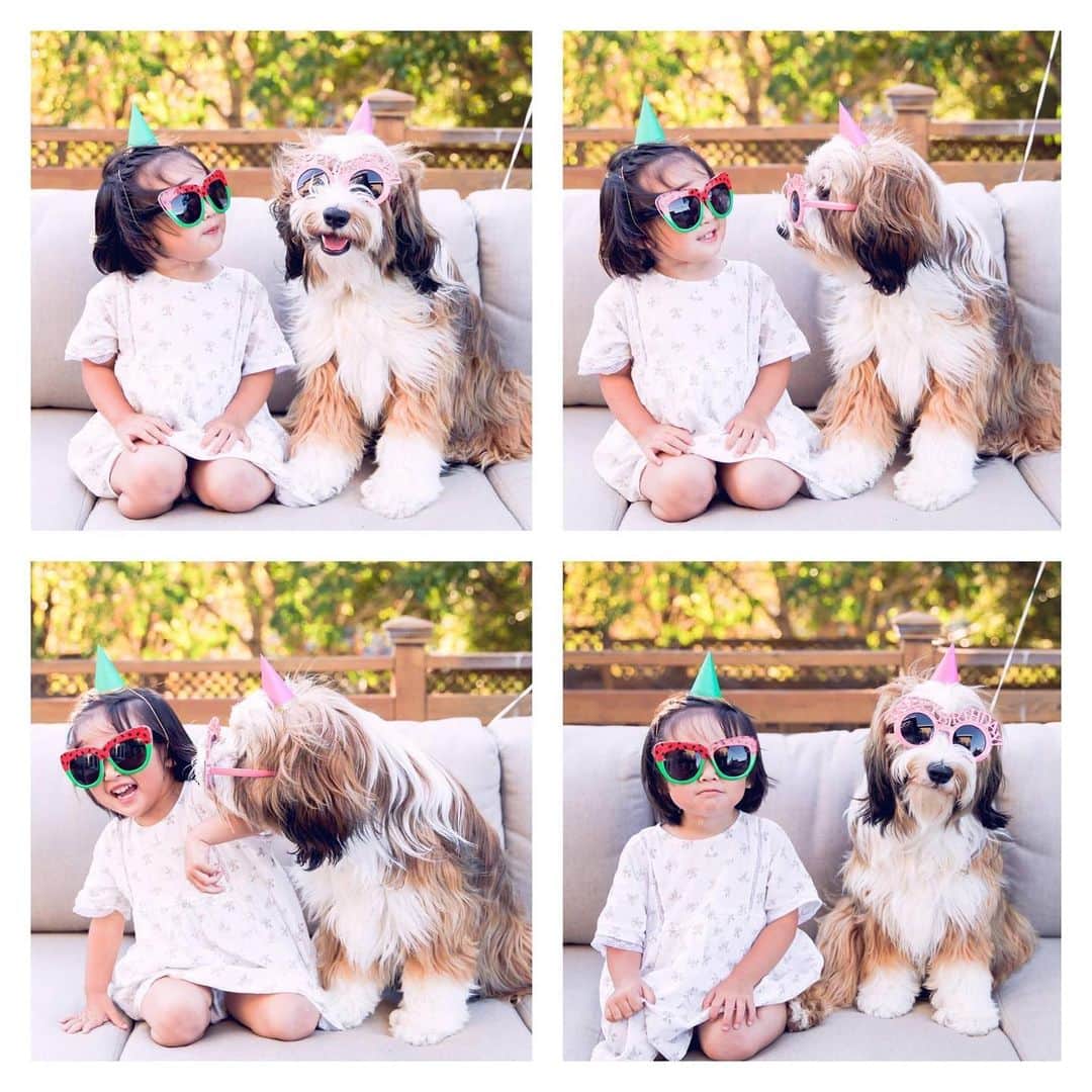Buddy Boo Blueのインスタグラム：「Happy 6th birthday, Benny! (Photo from his 1st birthday 5 years ago!)」