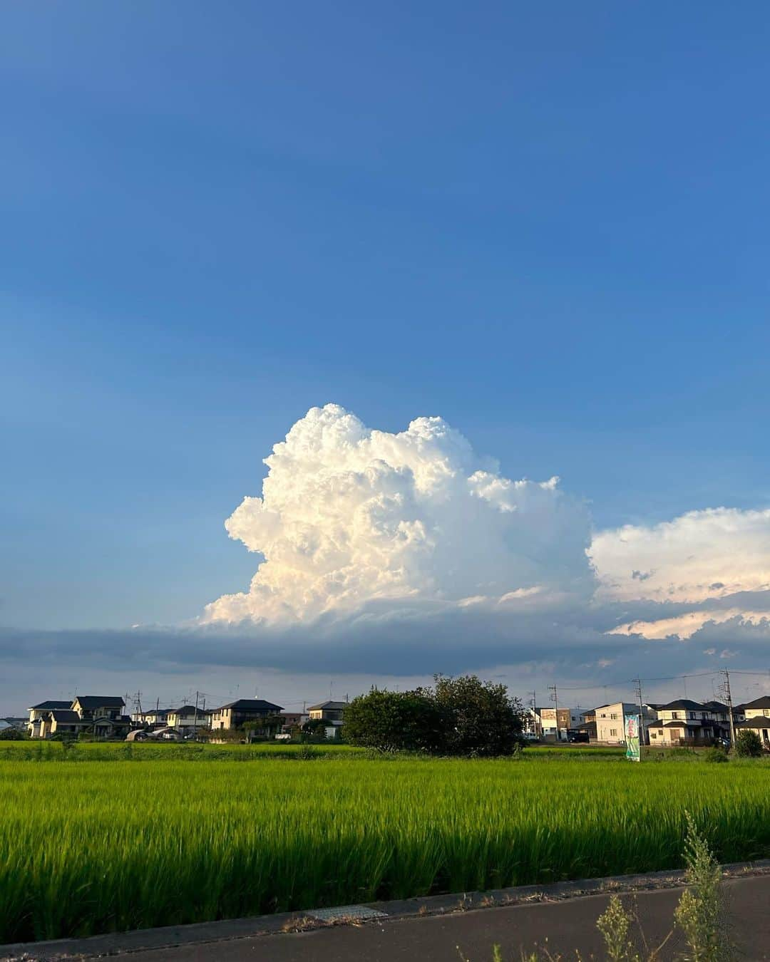 犬塚ヒカリさんのインスタグラム写真 - (犬塚ヒカリInstagram)「どんな素敵な夏になるのかな🌻」7月18日 13時51分 - inuzuka48