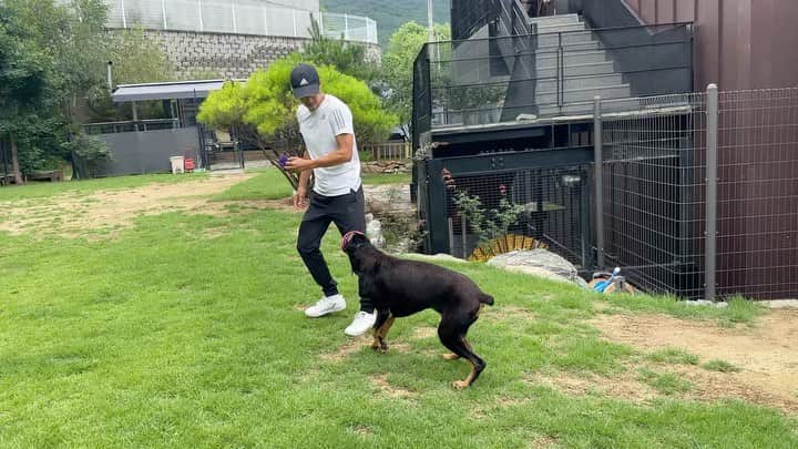 ペ・ジョンナムのインスタグラム：「아빠랑 달려요~🥰🐶🐾💕☘️🌿」