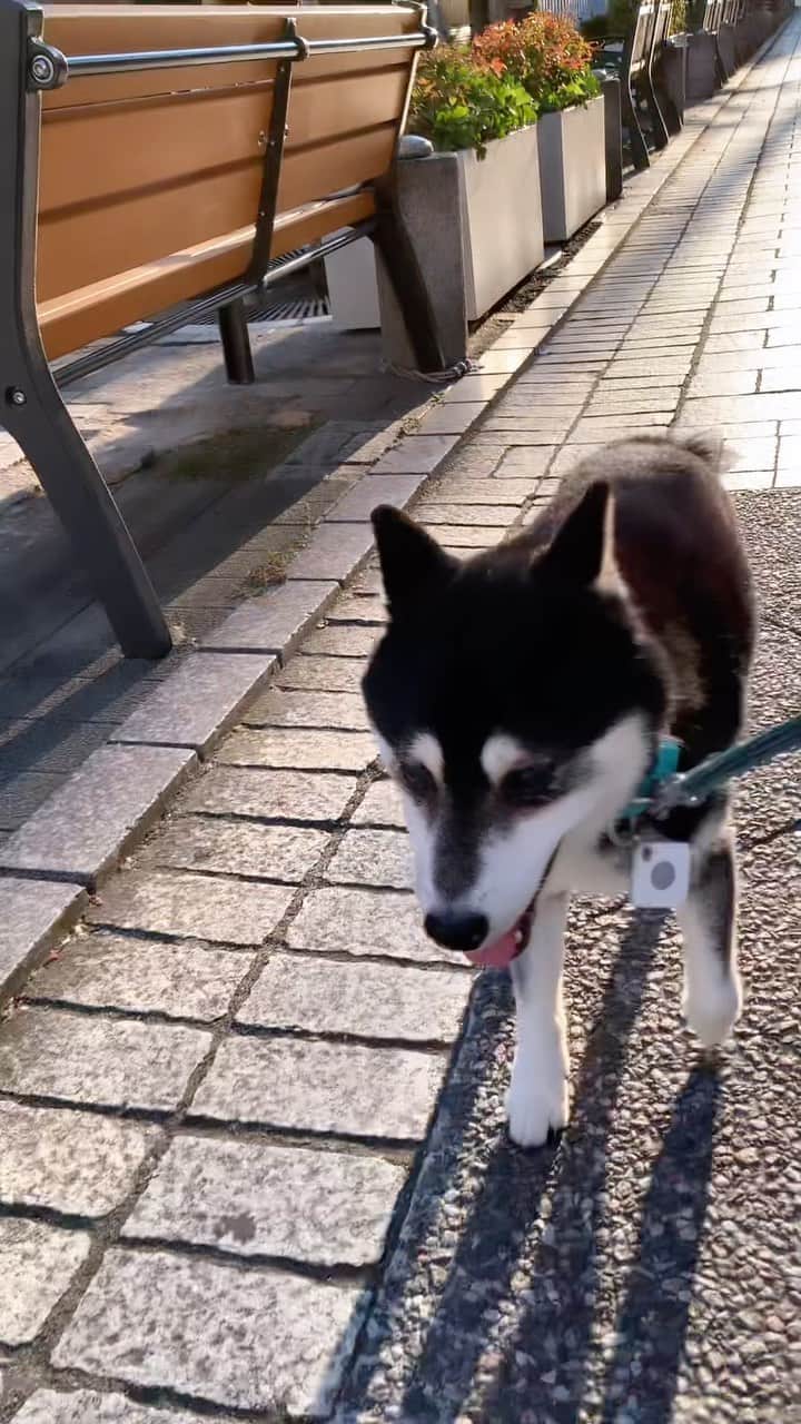 くろのグルメインスタ