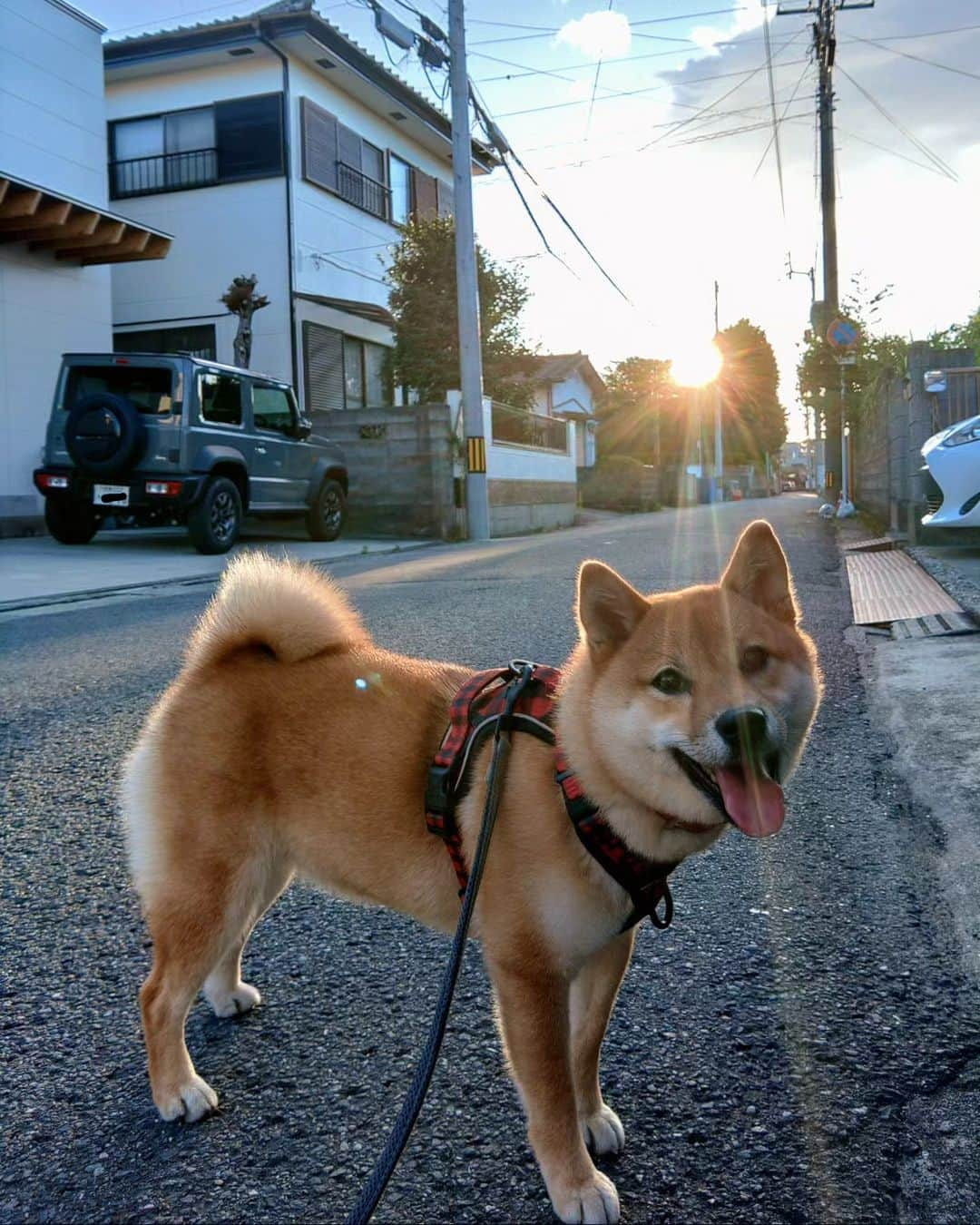 わたをのインスタグラム