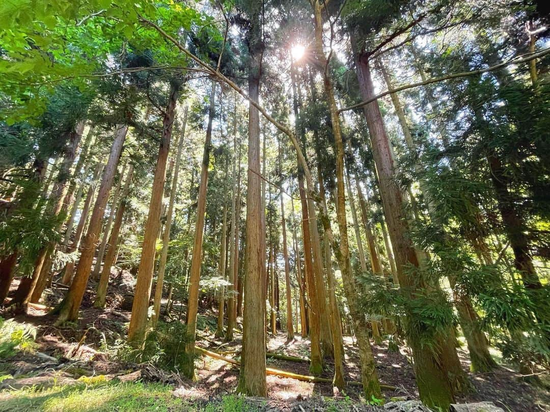 佐藤佳奈さんのインスタグラム写真 - (佐藤佳奈Instagram)「奥琵琶湖にキャンプに行ってきました🏕  せっかくの三連休、何をするか決めていなかったけど、何もしないのはもったいない！と思い、土曜の朝に急いでキャンプ場の予約を済ませ、慌ててキャンプ用品を買いに。笑  人生初のソロキャンプ(そもそも泊まりキャンプ自体が初めて😅)、自然に癒されてリフレッシュできました☺️  #ソロキャンプ  #ソロキャンプデビュー」7月18日 7時54分 - kana_sato_sakana