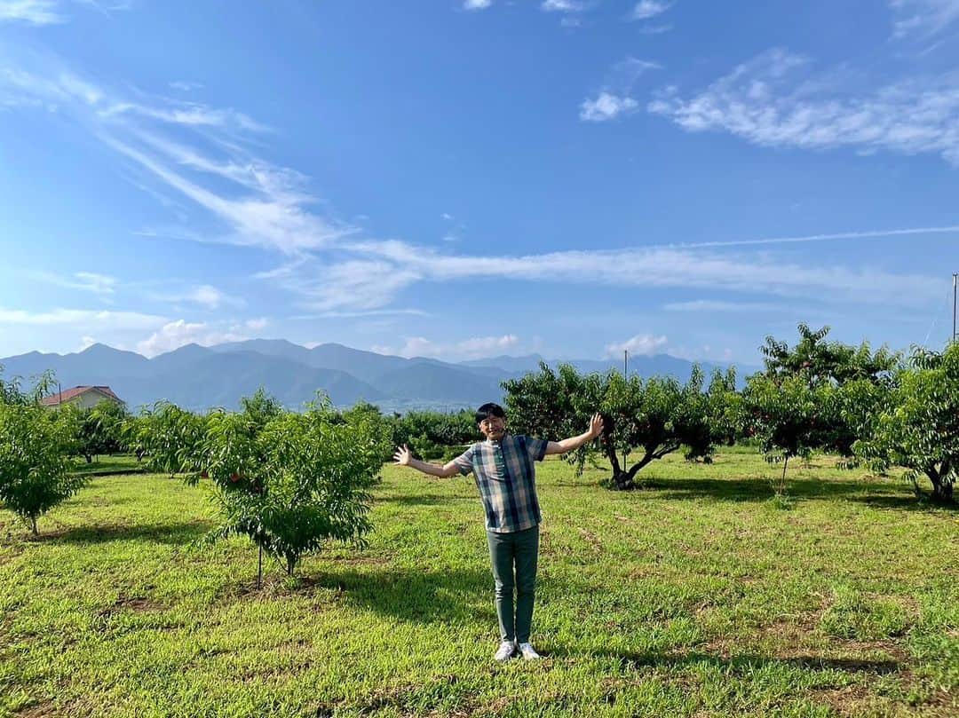 依田司さんのインスタグラム写真 - (依田司Instagram)「7月18日(火) 桃の生産量日本一を誇る山梨県にある『内藤農園』から。現在、収穫の最盛期を迎えていてます。 完熟状態になるまで枝で熟成し、甘さと香りが最高になるのを見極め収穫します。厳選された宝石のように美しい艶があることから、「ジュエリーピーチ」と名付けられました。 併設するカフェでは、４０分間の桃食べ放題やパフェなどのスイーツも。さらに、「ジュエリーピーチと生ハムの冷製パスタ」に、お店１番人気の「ジュエリーピーチとゴルゴンゾーラのピザ」といった珍しいメニューもあります。 因みに、明日は「やまなし桃の日」です。  #内藤農園 #依田さん #依田司 #お天気検定 #テレビ朝日 #グッドモーニング #気象予報士 #お天気キャスター #森林インストラクター #グリーンセイバーアドバンス #プロジェクトワイルド #IPCC伝導者 #japan #japantrip #japantravel #unknownjapan #japanAdventure #japanlife #lifeinjapan #instagramjapan #instajapan #療癒 #ilovejapan #weather #weathercaster #weatherforecast」7月18日 8時58分 - tsukasa_yoda