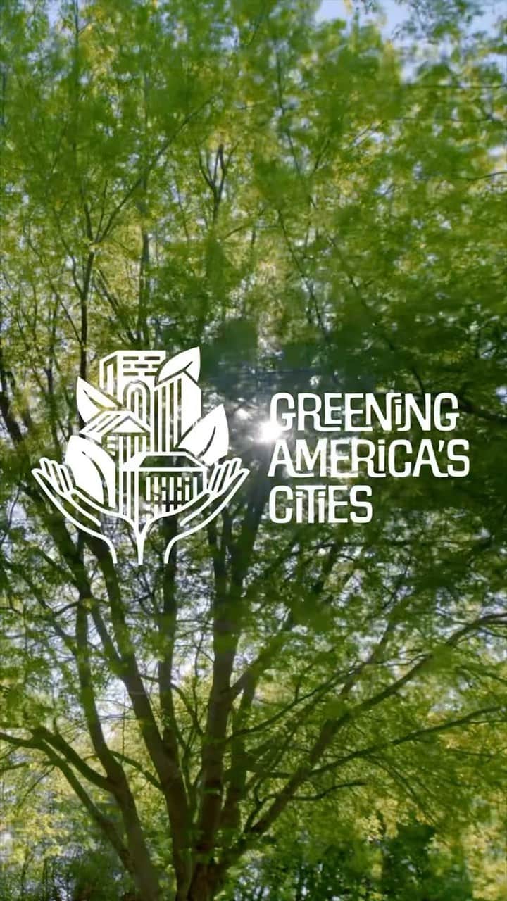 ジェフ・ベゾスのインスタグラム：「Repost from @bezosearthfund:   We’re growing roots in urban spaces! Today, the @bezosearthfund is announcing a $400M commitment to equitable urban greening in communities across the U.S.   Our Greening America’s Cities initiative is launching in five inaugural cities – Albuquerque, Atlanta, Chicago, Los Angeles, and Wilmington, Delaware – with 30+ partners receiving $50M in grants.   Through 2030, we’ll continue to partner with more local community groups, in more cities, to build nature trails, grow community gardens and urban farms, and plant much-needed trees in neighborhoods that have gone far too long without access to green spaces.   Learn more about the initiative by following the link in bio. #greeningamericascities」