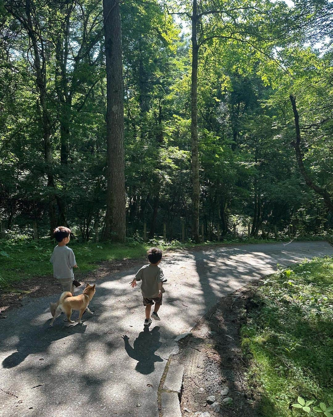 小山田早織さんのインスタグラム写真 - (小山田早織Instagram)「🌿🪵🍃🌲🏕️  6月末頃から体調を崩し、健康のありがたさを痛感したここ最近🥺  ようやく回復し、自然に癒されに🍃  マイナスイオンと焚き火の音と香り🔥 子どもたちとまめこ🐕の笑い声にパワーをもらい、しっかりとエネルギーチャージして参りました✨  心も身体もリセット🪷  今日からまた元気にがんばります💪  今回のキャンプで大活躍だったのは真っ白なワンピ🤍 シワにならず、シャワーのあとにサラッと着れて便利でした🚿 アウトドアでも白を着れるのはUVや洗濯機で洗える機能があるからこそです😆🤍  @a_plus_tokyo   #キャンプ #キャンプコーデ」7月18日 11時24分 - saorioyamada