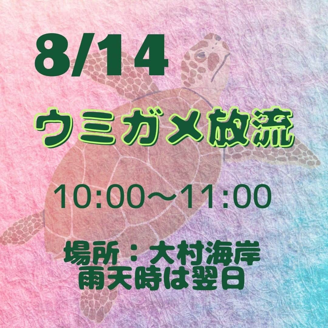 小笠原村観光協会さんのインスタグラム写真 - (小笠原村観光協会Instagram)「🏖小笠原サマーフェスティバル2023🐬  今年のサマフェスの日程が決まりました！  今年の盆踊りは練習会のみで、やぐらの設置や夜店の出店はございません。 太鼓と踊りのみの練習会となります。  ⚠各自の判断でマスク着用等の感染対策をお願いいたします⚠  ○*:.。..。.。o○○*:.。..。.。o○○*:.。..。.。o○  小笠原へのご旅行を検討されてる方は、宿泊施設やガイドツアーの情報など小笠原村観光協会のホームページを参考にしてみてください♪ メールやお電話にてパンフレットのご請求も承ります！  ○*:.。..。.。o○○*:.。..。.。o○○*:.。..。.。o○  #小笠原  #小笠原諸島  #父島  #ogasawara  #boninisland  #ogasawaraisland  #島暮らし  #小笠原の日常  #離島暮らし  #ここも東京  #船で24時間  #船のある風景  #世界自然遺産  #世界遺産  #海  #イルカ  #ドルフィンスイム  #ドルフィンウォッチング  #南島 #夏休み  #旅行  #おがさわら丸  #夏  #盆踊り  #夏祭り  #サマーフェスティバル  #サマーフェスティバル2023  #小笠原サマーフェスティバル  #8月の小笠原  #ogasawalove」7月18日 11時57分 - village_ogasawara