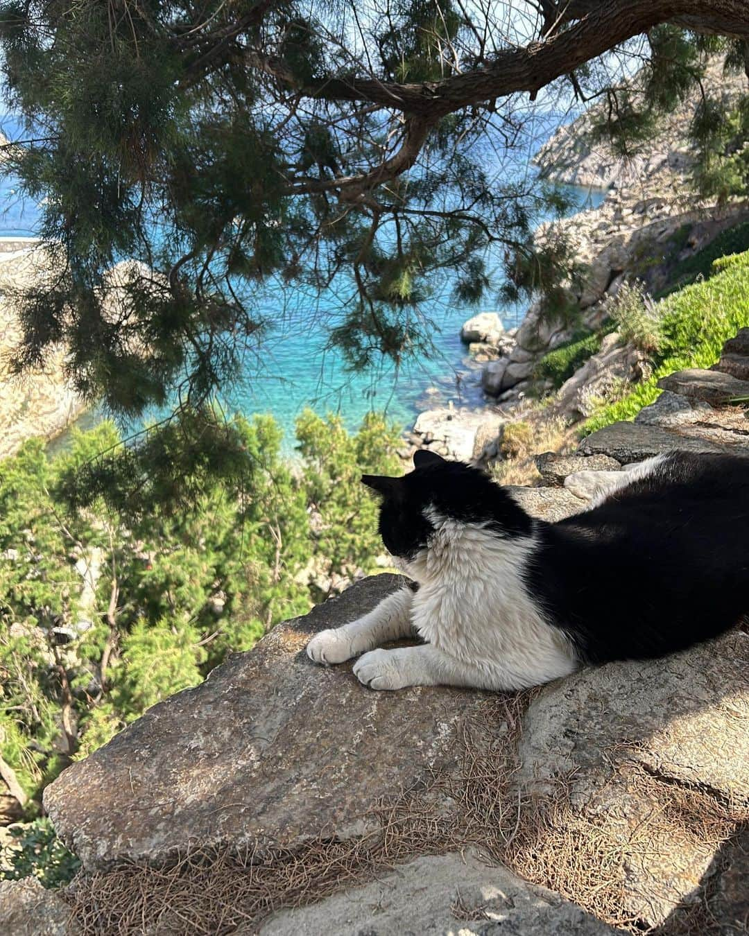 けみおさんのインスタグラム写真 - (けみおInstagram)「🏝️🫂💙💙」7月18日 12時02分 - mmkemio