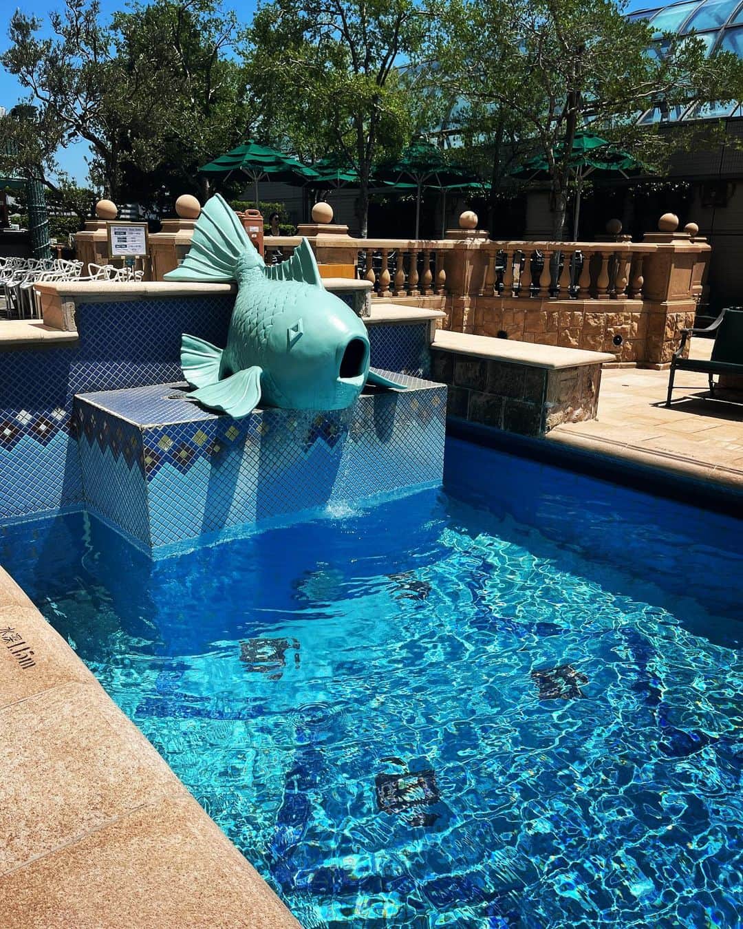 ACOのグルメインスタ