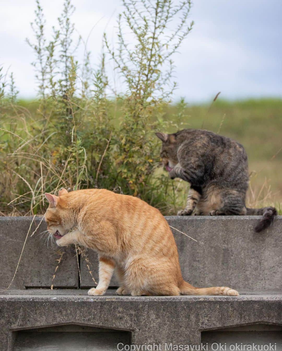 Masayukiのインスタグラム