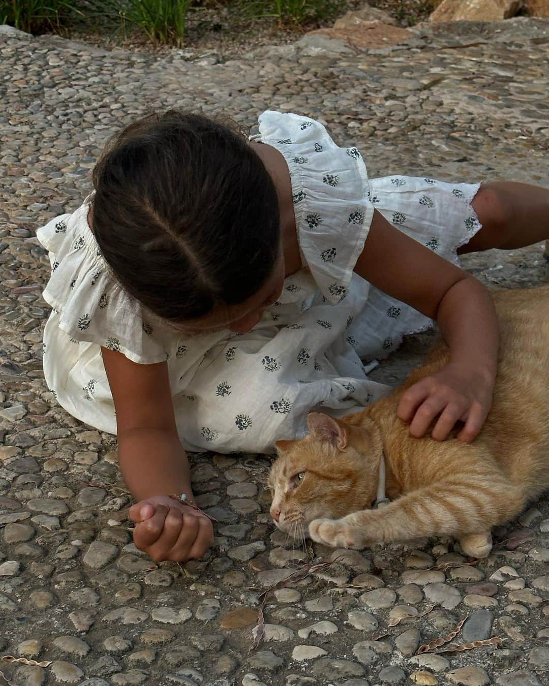 Mathilde Goehlerのインスタグラム：「Little love story 🤍🐈」