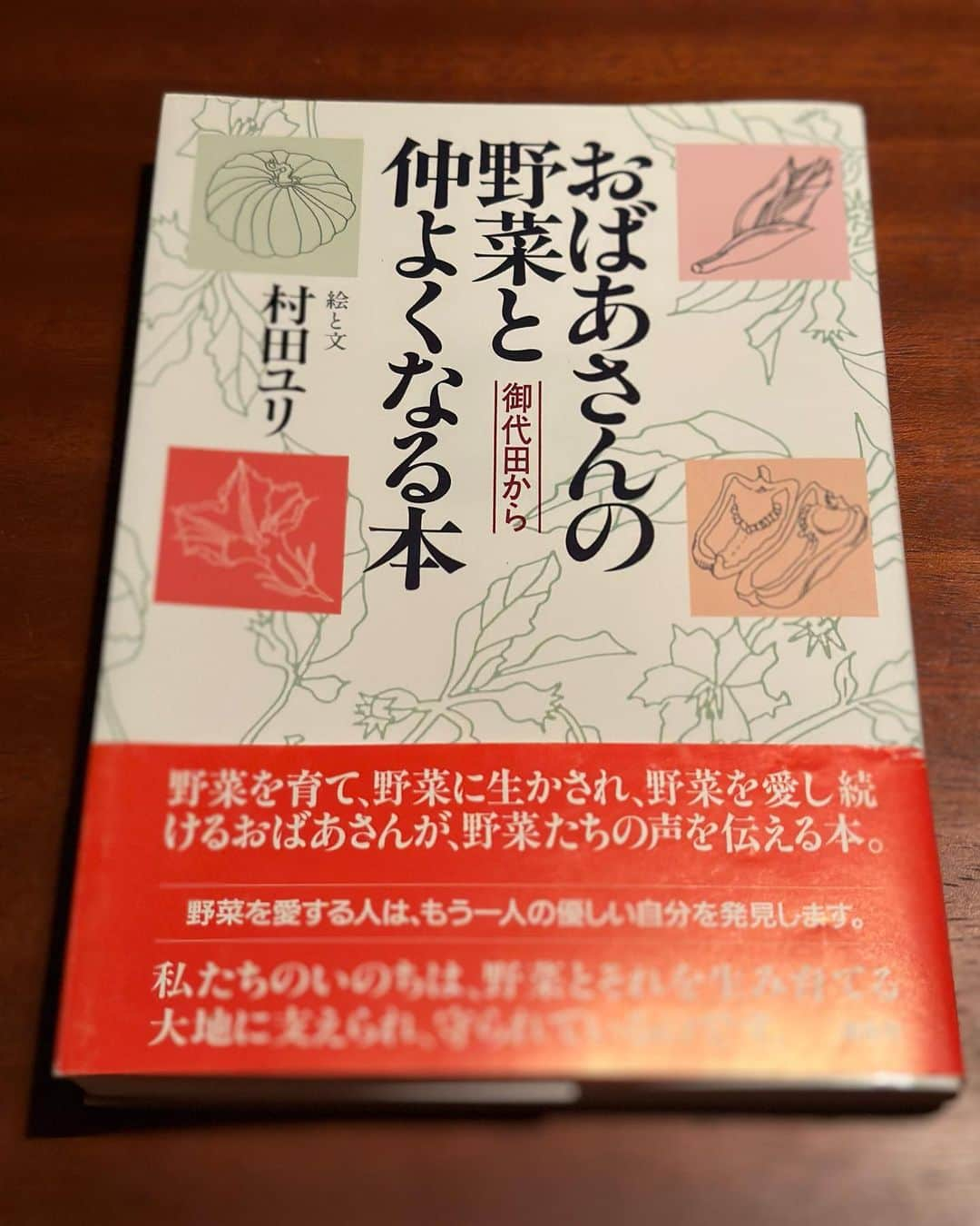 加藤紀子のインスタグラム：「「あの人、野菜か豆腐のことばかり」とポストを見て笑われていそうですが、また一冊⚡️が走ったのがこちら。  お野菜の特徴や素晴らしすぎるイラスト、調理法はもちろんのこと、 優しい目線からの言葉がいっぱいで、「こうした文章を書けるようになりたい…」なんて、野菜情報以外の学びもぎゅうぎゅう。  しかもお気に入りエリアの 御代田で野菜作りだなんて、 憧れ100%🤤✨  野菜にしても豆腐にしても味噌にしても、自作出来る食べ物をまだまだ増やしていきたいなぁ… と願うので、熟読熟読。  #おばあさんの野菜と仲よくなる本 #村田ユリ先生」