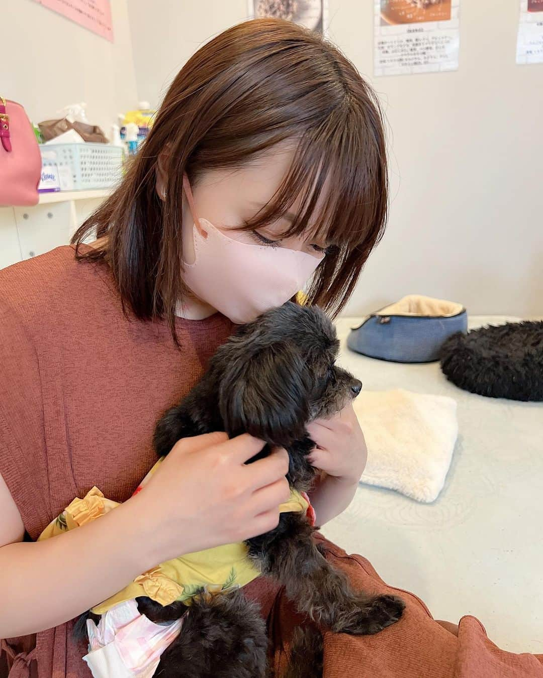 嶋梨夏さんのインスタグラム写真 - (嶋梨夏Instagram)「コーギーとキャバリアしか飼ったことがないので、小さいわんちゃんに触れると、小ささにいつも驚くし、とっても愛しくなります🥺💓 . . . . . #保護犬 #保護犬カフェ #anellacafe #dogrescueanella #被写体 #お仕事依頼受付中 #アラサー女子 #平成元年生まれ #150cm #ファインダー越しの私の世界 #ポートレート #ポートレート撮影 #女優 #actress #photooftheday #JAPAN #japanesegirl #instagood #followme #ricashima #嶋梨夏」7月18日 23時49分 - shimarica_jp