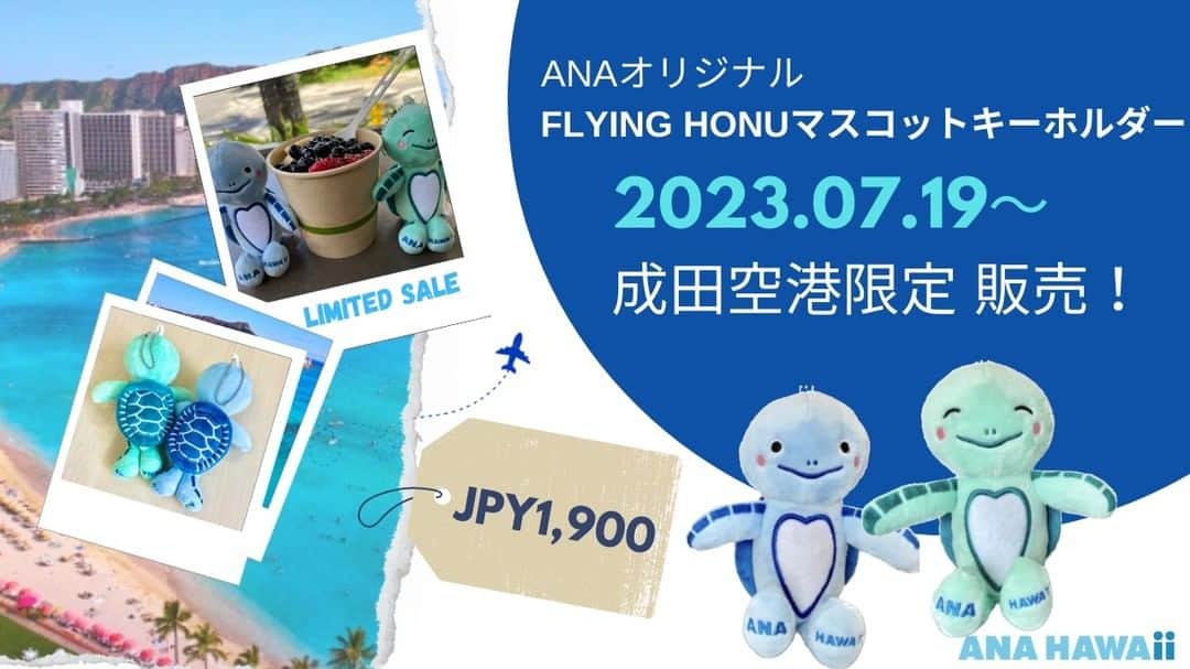 ANAのインスタグラム：「ついに、FLYING HONUのキャラクターがマスコットキーホルダーに🐢🌺✨  💙明日7/19より💙成田空港限定で販売開始🌈✨  ANAを支えてくださるお客様への感謝の気持ちと、7/21より成田ホノルル線が1日2往復に復活することを記念して🌻  成田空港第一ターミナル内「ANA DUTY FREE SHOP」および 「ANA DUTY ＆TAX FREE SHOP」にて販売します‼️  #エアバスA380型機 #FLYINGHONU の機体をイメージして誕生しました💙  皆様のご搭乗お待ちしております✈ 詳細はこちらhttp://ana.ms/3K0eLQ4  ※成田空港限定販売（出国後の店舗となります）のため、 　国際線のご出発前にご購入ください。」