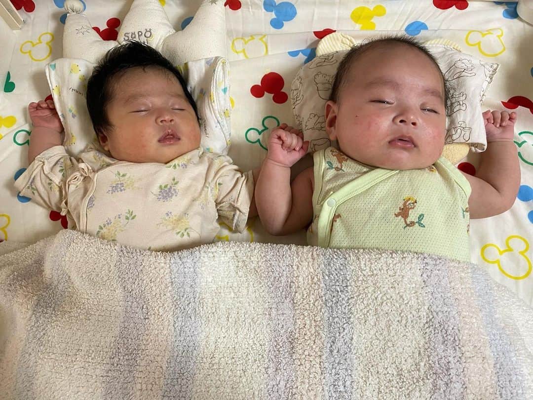 小泉留菜のインスタグラム：「👶🏻💓👶🏻 . . この姿が見たくて見たくて念願の🥹✨ 1ヶ月babyと3ヶ月baby😌💓 . . 妊娠から出産まで何かあればすぐに報告し合って  励まし合って一緒だから乗り越えられたヨ🤰✨ お互いお疲れ様だねで泣きそうになったし。笑 そんな中兄たちは喧嘩したりで 感動ぶち壊しされたけども、、☺️✌🏻(仲良い時の差よ🙃) . . 子供たちの成長が楽しみすぎる🦋 #3歳 #3歳男の子 #3歳児 #ママ #男の子ママ #ママスタグラム #25歳ママ #口唇口蓋裂 #関東ママ #埼玉ママ　 #出産 #出産報告 #ご報告 #第二子 #第二子出産 #赤ちゃん #ベビー #baby #女の子ママ #2児ママ #0歳 #0歳児 #0歳児ママ #兄妹  #生後1ヶ月 #1ヶ月ベビー」