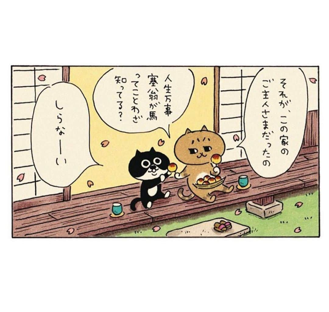 eskさんのインスタグラム写真 - (eskInstagram)「: : おさらいミィちゃん👀  「猫も万事」  ちびミィちゃんの回。  ミィちゃんをおうちの子にしてくれたのは、わたしも大好きな素敵なご夫婦です☺︎  ※猫生も×→猫も⚪︎    人生万事×→人間万事⚪︎ コミックスでは修正してます  #ミィちゃんは今日もがんばらない #イラスト#イラストレーター#おえかき#らくがき#まんが#猫#ねこ#ネコ#昭和レトロ」7月18日 18時06分 - esk_illust