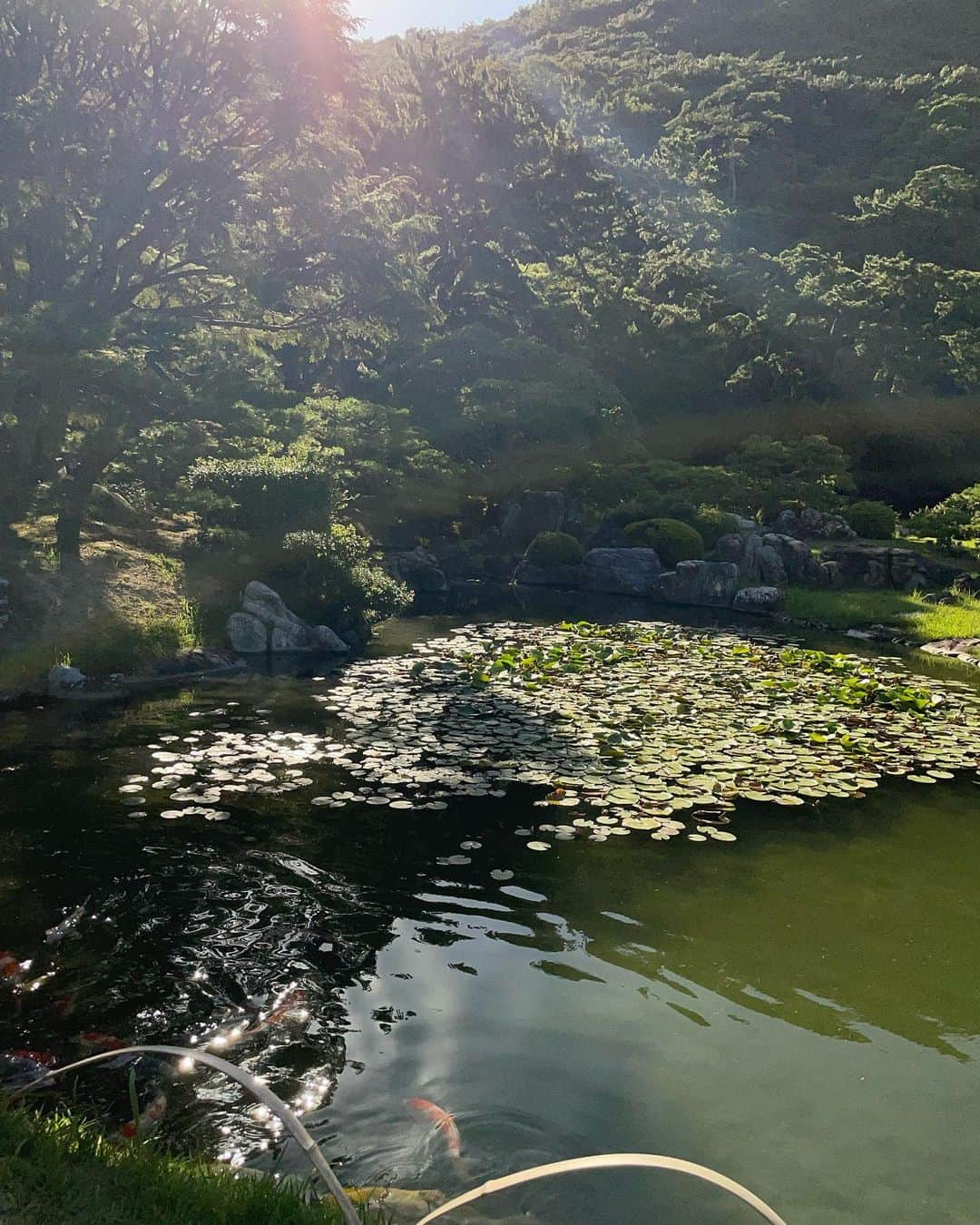 イム・キムさんのインスタグラム写真 - (イム・キムInstagram)「🍡」7月18日 18時28分 - limkim12121