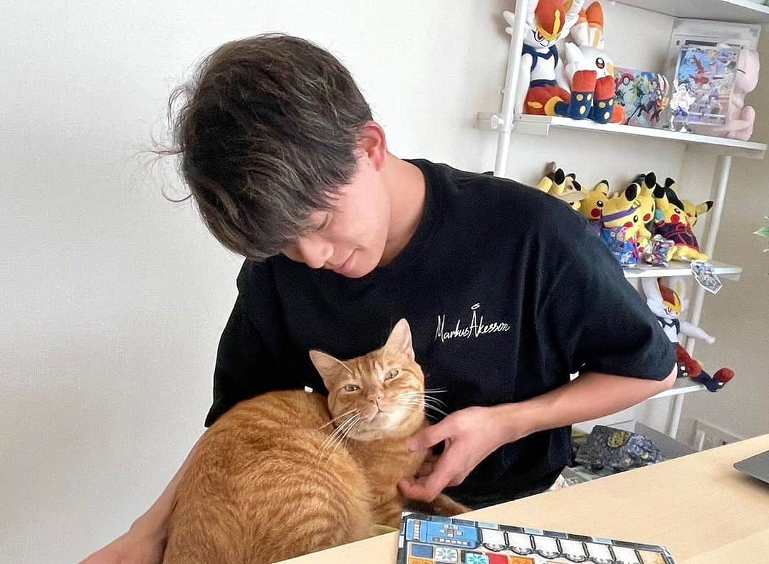 松丸亮吾のインスタグラム：「友達と #ボドゲ で遊んでたら参加しに来たリドくん  #保護猫 #猫」