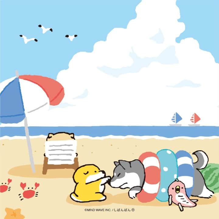 オオゴシヤステルのインスタグラム：「#今日のしばんばん  もう「夏は来てる」でいいでしゅね？  (ฅ・ᴥ・ฅ)   何の尋問だ、これ…？？？ 〈ฅ `ᴥ´ ฅ〉  ドキドキ💕 （・ꃪ・）  #しばんばん #shibanban #むちころばんばん #muchicorobanban #微笑柴犬 #マインドウェイブ #mindwave #オオゴシヤステル #柴犬 #しばいぬ #sibainu #猛暑 #猛暑日」