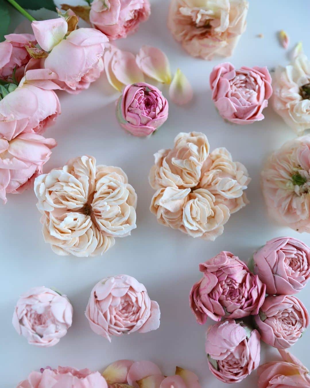 청담 수케이크 (atelier soo)のインスタグラム：「ㅡ Pink color. massflowers  Atelier soo   🤍」