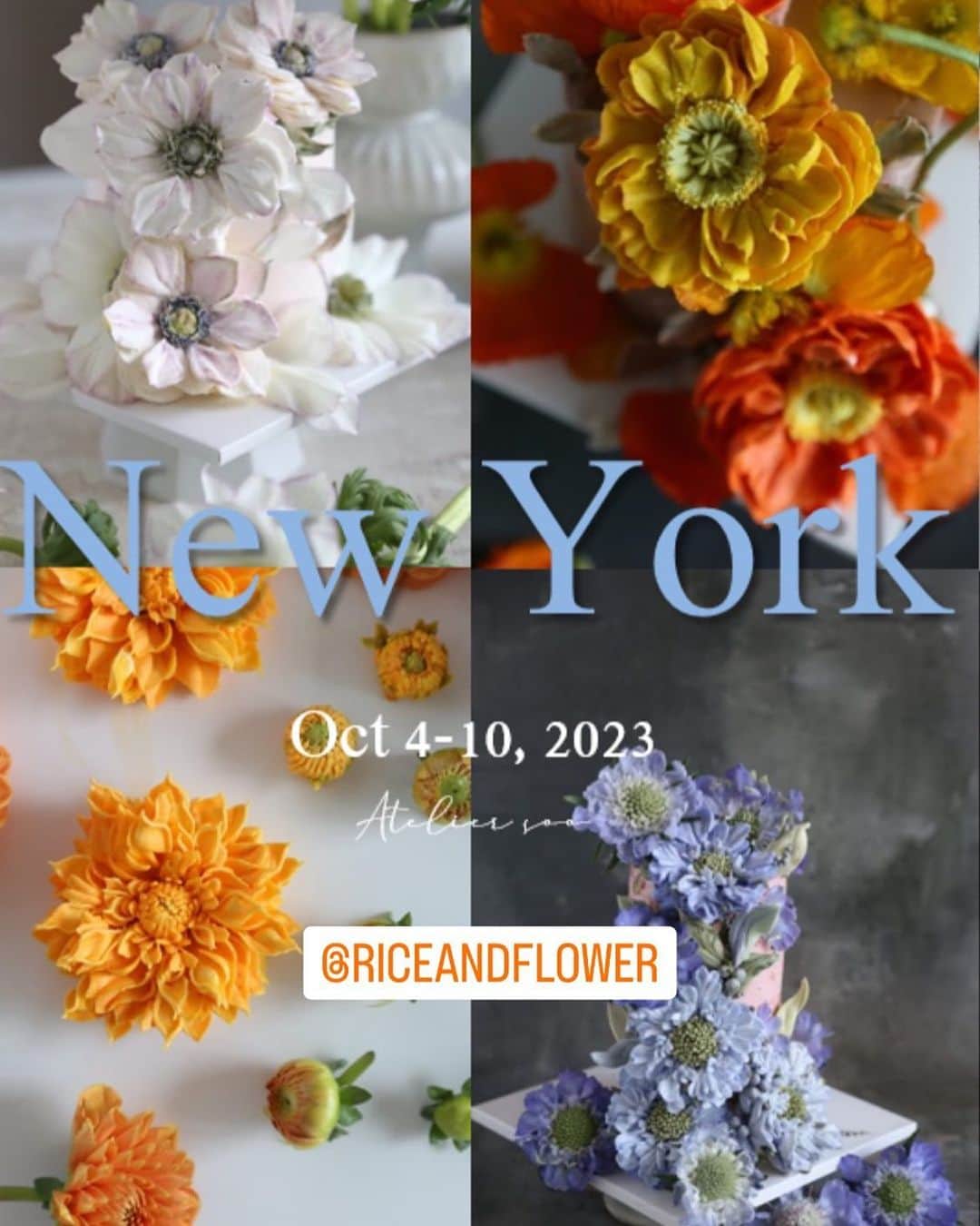 청담 수케이크 (atelier soo)さんのインスタグラム写真 - (청담 수케이크 (atelier soo)Instagram)「ㅡ 2023. October  Soocake Workshop in NYC 🇺🇸 For more information, please contact  @riceandflower 📩  Thank you, as always. 🤍🗽 ㅡ」7月18日 18時52分 - soocake_ully