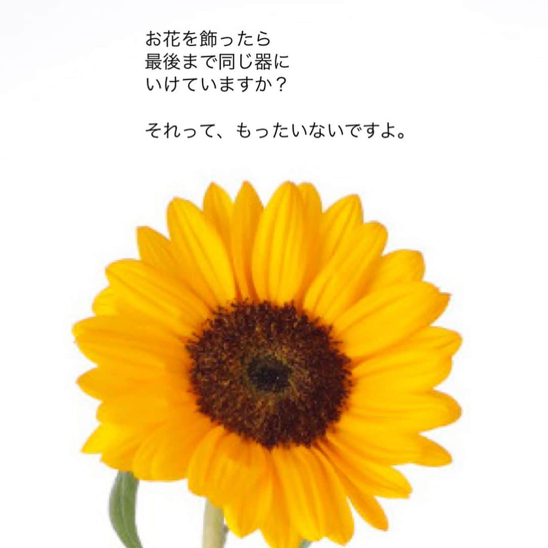 雑誌『花時間』さんのインスタグラム写真 - (雑誌『花時間』Instagram)「お花の飾り直しは、していますか？  花時間（@hanajikan_magazine）です。  いちど飾ったら、同じ器にいけっぱなし？  最初にいけた感じが気に入ると、なんとかその形をキープしたいから、いけ替えたくないな…なんて思ったりしますよね？  でも、花の茎は切り直してこそ、長もち。  水の吸い上げ口（道管）がリフレッシュされ、数日経ってからでも、また元気になります。  茎を切り直すと、当然、はじめの器では、バランスが悪くなりますよね。  また別の器にお引越しさせましょう！  夏こそ、このお引越しが肝心。  ハ◯ターなどで、きれいに消毒した器にいけ替えることで、花を弱らせるバクテリアの繁殖も防げるんです。  葛飾北斎は人生で93回も引越ししたそーですが💦、新しいおうちで、暑い時期のお花もヤル気を出してくれるかな？  では、本日もお疲れさまでした🍉　明日も元気smile😊😊😊で頑張りましょう！ byピーターパン  花　@森　美保 写真　@satomi.ochiai78   【花時間ニュース】 💜『花時間』から、花の定期便がスタートしました🥰　世界でここだけのバラと旬花が届く嬉しいサービスです💕  💜『花時間2023春夏』〈春のピンク！夏のブルー！〉大好評発売中！  💜『花と短歌でめぐる 二十四節気 花のこよみ』大好評発売中  すべて @hanajikan_magazine のプロフィールのリンクから飛べます✈️  『花時間』本誌や書籍は全国の書店、ネット書店でも発売中✨  #花時間 #フラワーアレンジ #夏の花 #花のお手入れ  #ヒマワリ #花が好き #花が好きな人と繋がりたい #花を飾る #花を飾る生活 #花屋さんへ行こう」7月18日 19時00分 - hanajikan_magazine