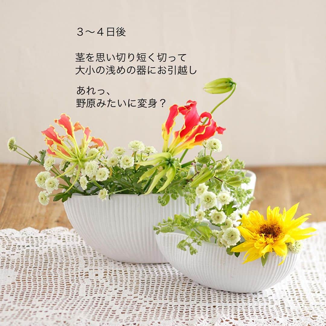 雑誌『花時間』さんのインスタグラム写真 - (雑誌『花時間』Instagram)「お花の飾り直しは、していますか？  花時間（@hanajikan_magazine）です。  いちど飾ったら、同じ器にいけっぱなし？  最初にいけた感じが気に入ると、なんとかその形をキープしたいから、いけ替えたくないな…なんて思ったりしますよね？  でも、花の茎は切り直してこそ、長もち。  水の吸い上げ口（道管）がリフレッシュされ、数日経ってからでも、また元気になります。  茎を切り直すと、当然、はじめの器では、バランスが悪くなりますよね。  また別の器にお引越しさせましょう！  夏こそ、このお引越しが肝心。  ハ◯ターなどで、きれいに消毒した器にいけ替えることで、花を弱らせるバクテリアの繁殖も防げるんです。  葛飾北斎は人生で93回も引越ししたそーですが💦、新しいおうちで、暑い時期のお花もヤル気を出してくれるかな？  では、本日もお疲れさまでした🍉　明日も元気smile😊😊😊で頑張りましょう！ byピーターパン  花　@森　美保 写真　@satomi.ochiai78   【花時間ニュース】 💜『花時間』から、花の定期便がスタートしました🥰　世界でここだけのバラと旬花が届く嬉しいサービスです💕  💜『花時間2023春夏』〈春のピンク！夏のブルー！〉大好評発売中！  💜『花と短歌でめぐる 二十四節気 花のこよみ』大好評発売中  すべて @hanajikan_magazine のプロフィールのリンクから飛べます✈️  『花時間』本誌や書籍は全国の書店、ネット書店でも発売中✨  #花時間 #フラワーアレンジ #夏の花 #花のお手入れ  #ヒマワリ #花が好き #花が好きな人と繋がりたい #花を飾る #花を飾る生活 #花屋さんへ行こう」7月18日 19時00分 - hanajikan_magazine