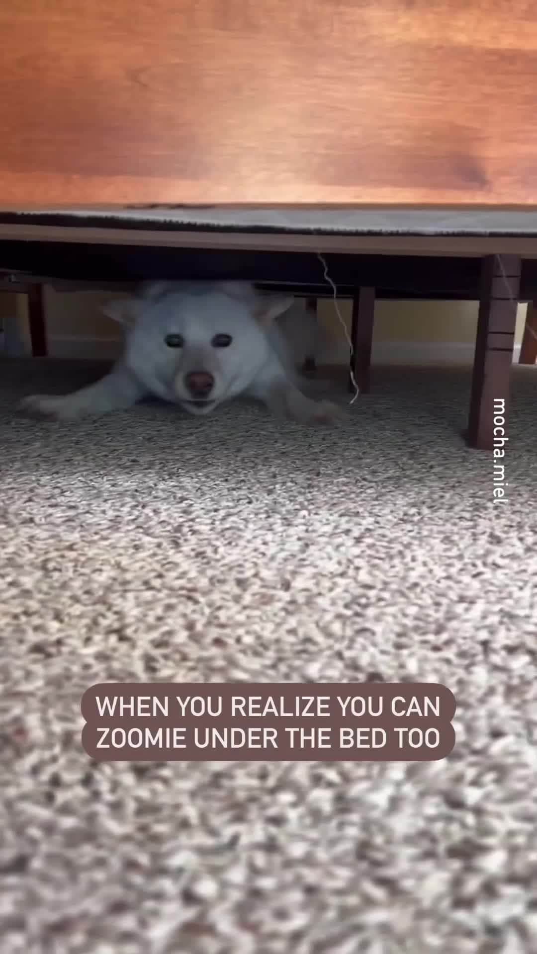 9GAGのインスタグラム